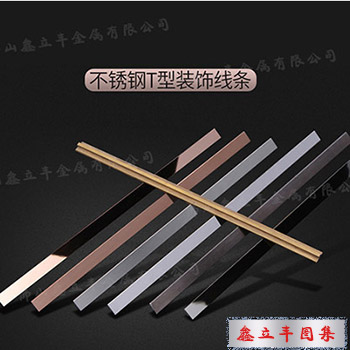 T型不銹鋼裝飾線(xiàn)條